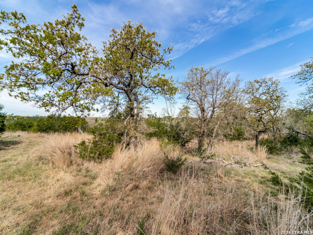 7991 Ranch Road 965 Fredericksburg TX 78624