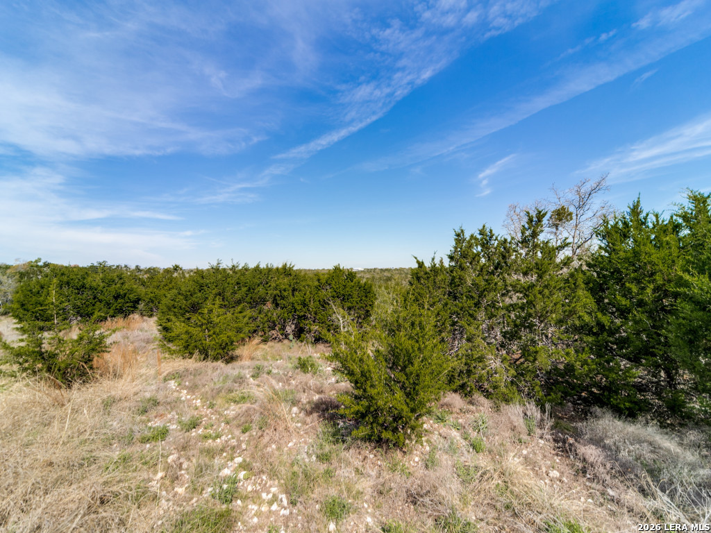7991 Ranch Road 965 Fredericksburg TX 78624