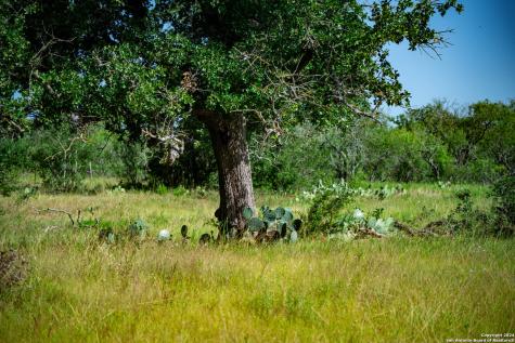 Tract 1 9 +/- Acres County Road 426 Gonzales TX 78629