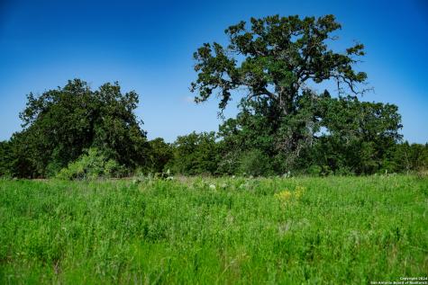 Tract 1 9 +/- Acres County Road 426 Gonzales TX 78629