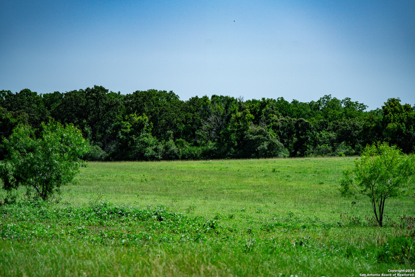 Tract 1 9 +/- Acres County Road 426 Gonzales TX 78629