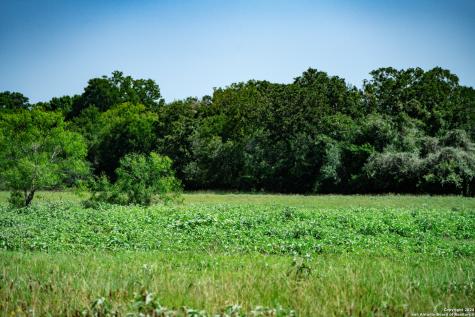 Tract 1 9 +/- Acres County Road 426 Gonzales TX 78629