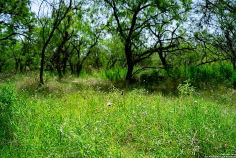 Tract 1 9 +/- Acres County Road 426 Gonzales TX 78629