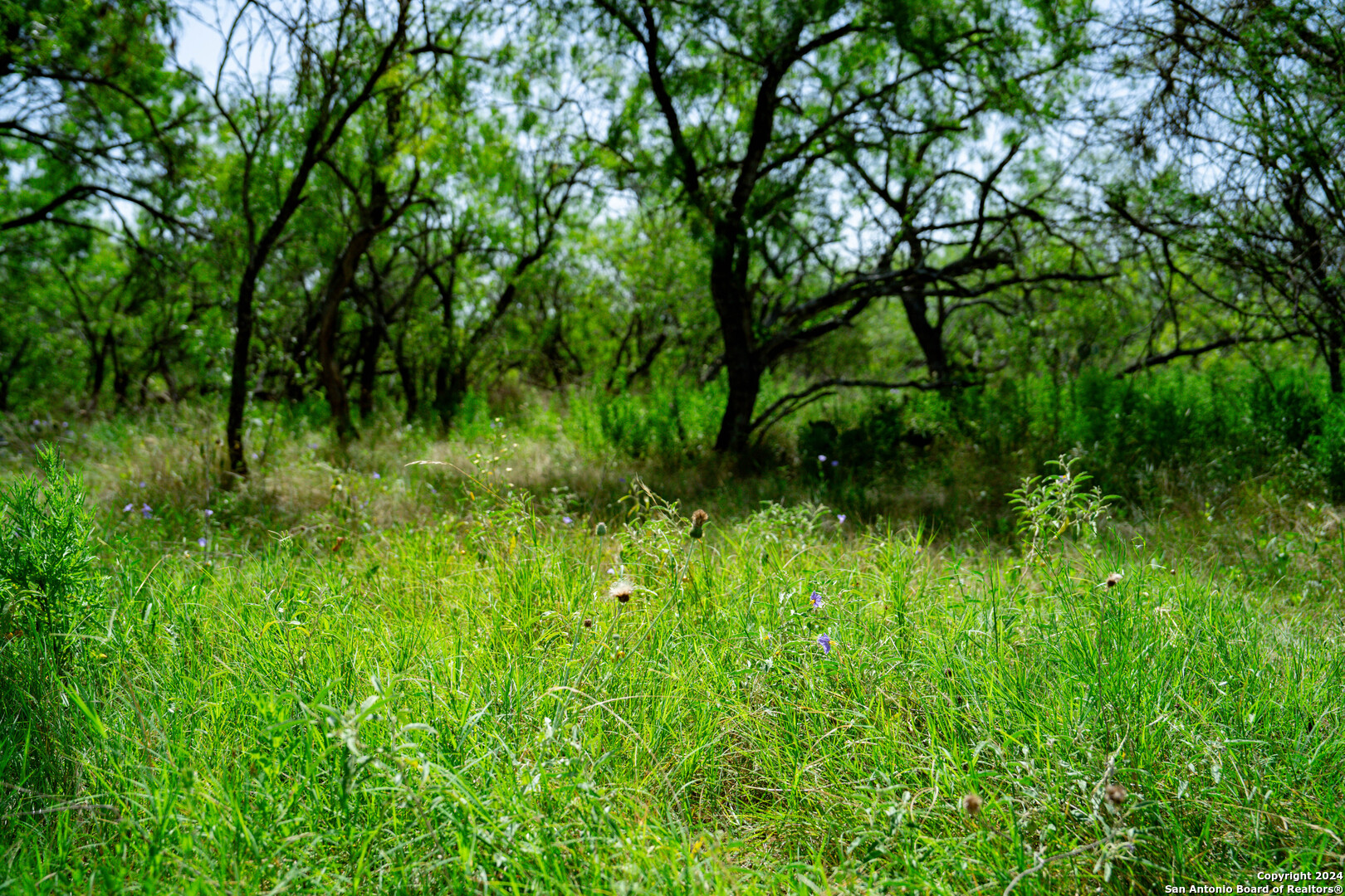 Tract 1 9 +/- Acres County Road 426 Gonzales TX 78629