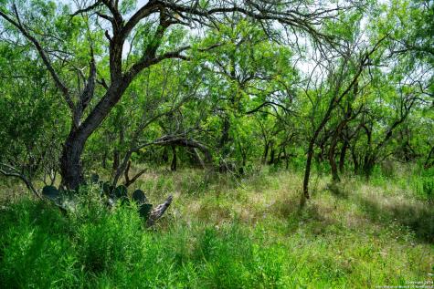 Tract 1 9 +/- Acres County Road 426 Gonzales TX 78629