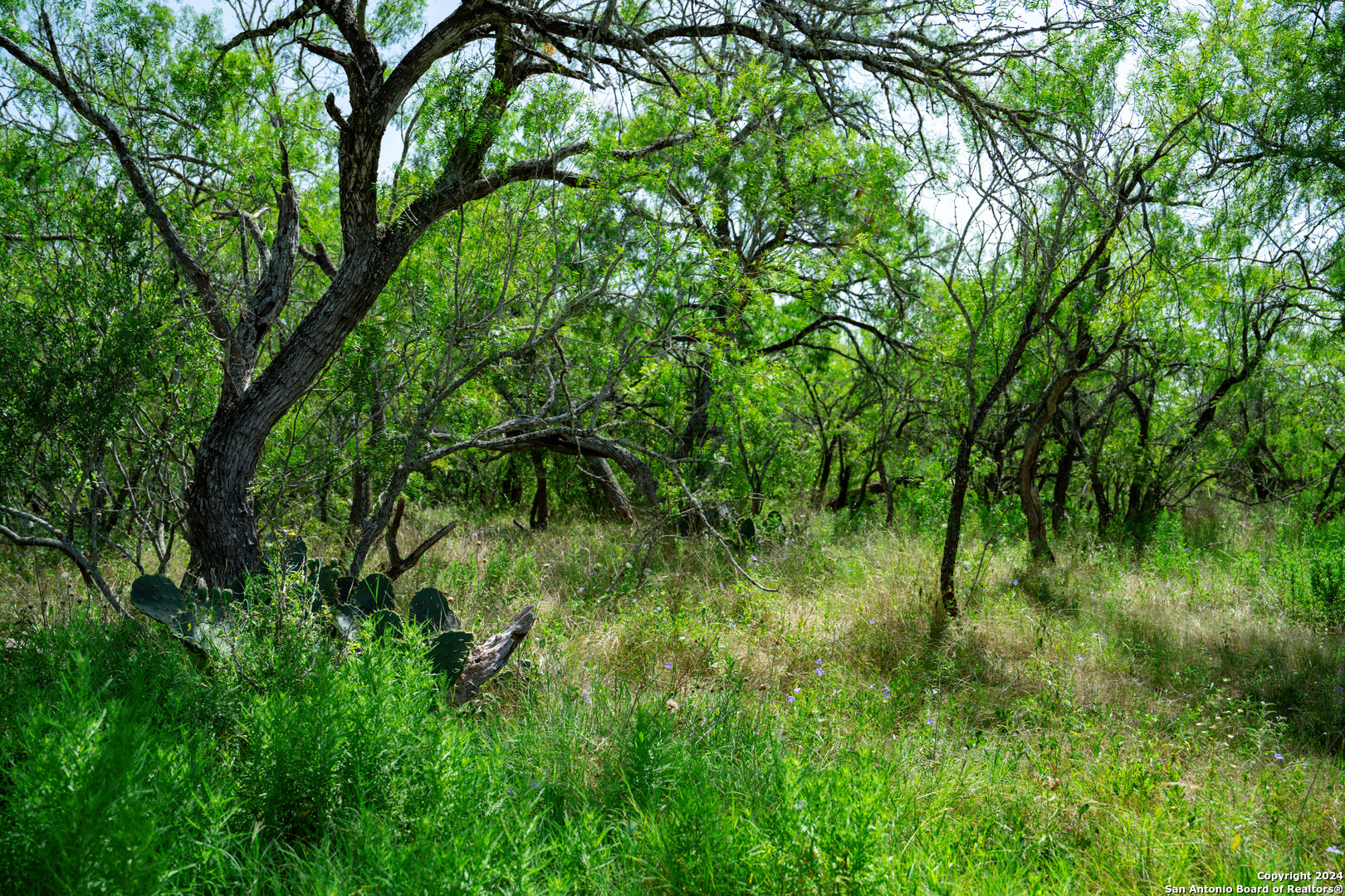 Tract 1 9 +/- Acres County Road 426 Gonzales TX 78629
