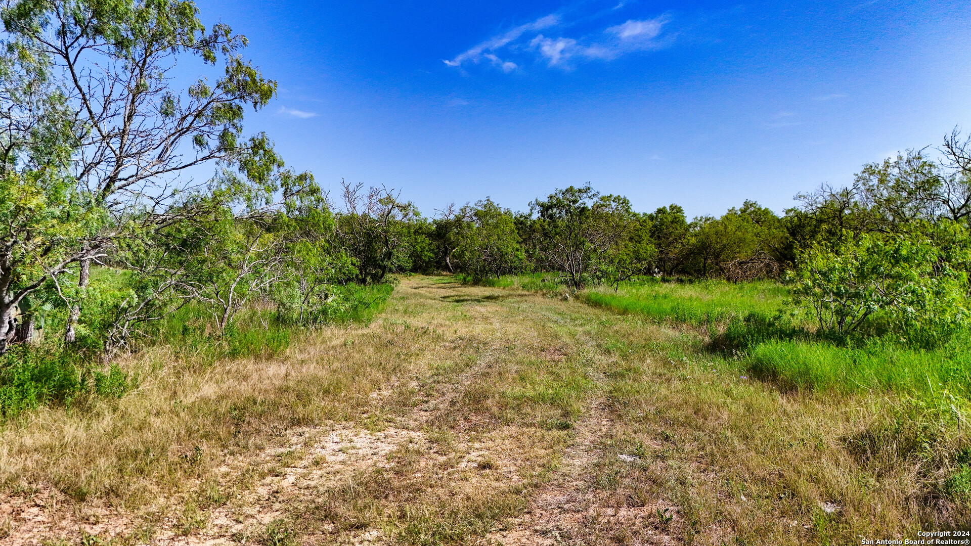 Tract 1 9 +/- Acres County Road 426 Gonzales TX 78629