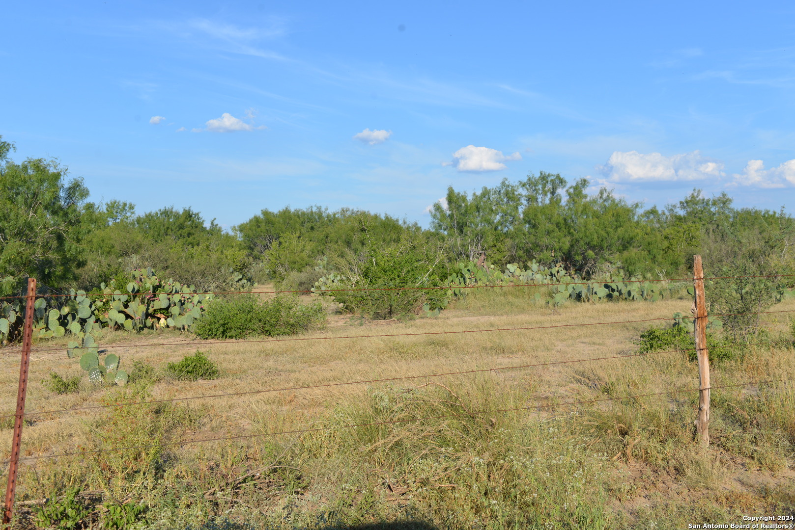 16070 Fm 140 Pearsall TX 78061