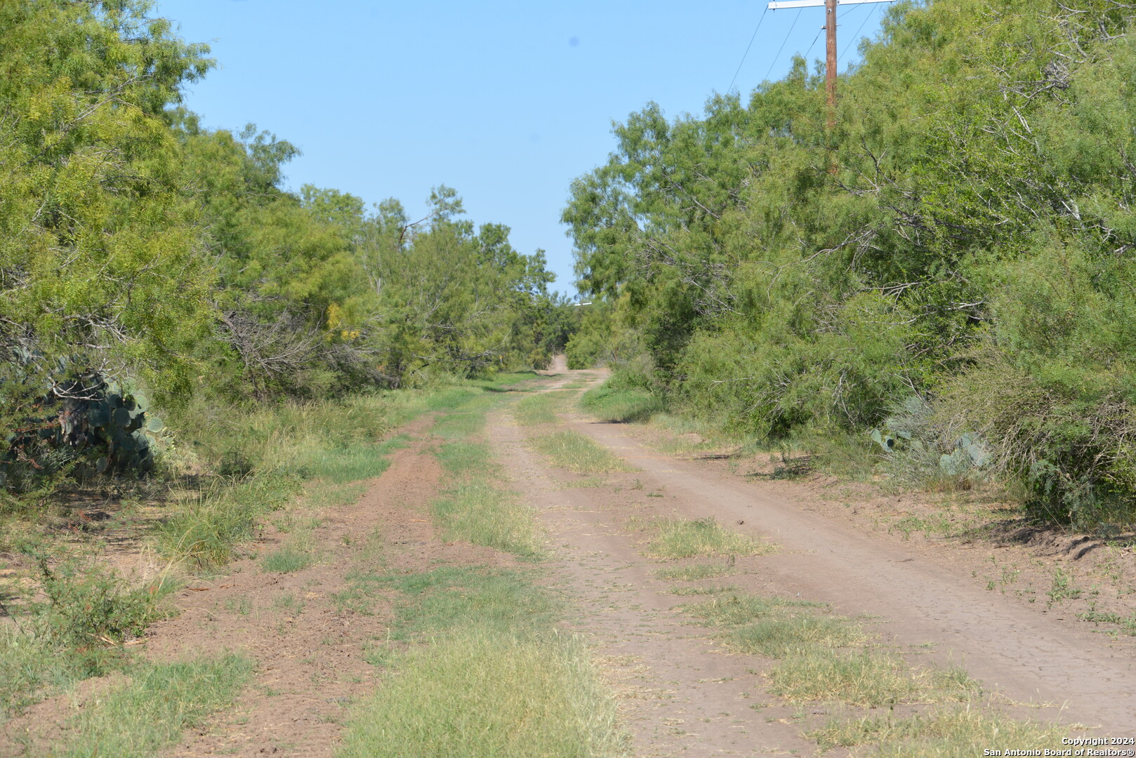 16070 Fm 140 Pearsall TX 78061