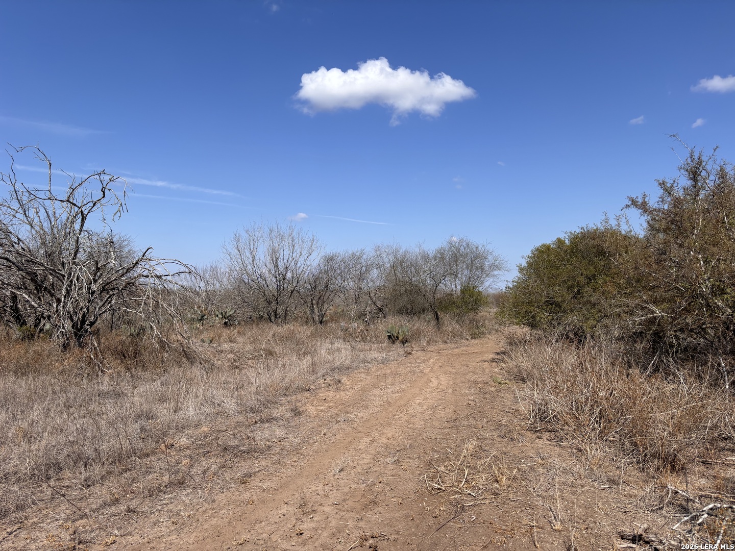 0 County Road 119 Alice TX 78332