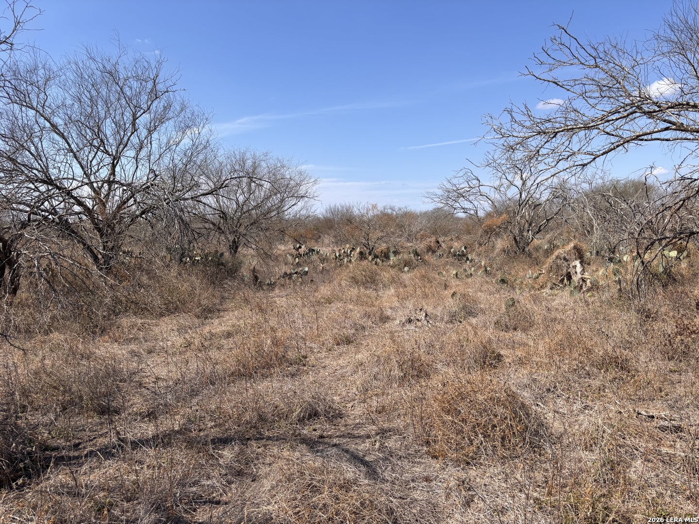 0 County Road 119 Alice TX 78332