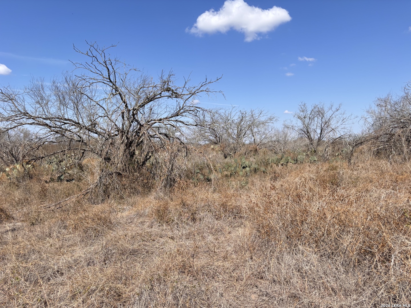 0 County Road 119 Alice TX 78332