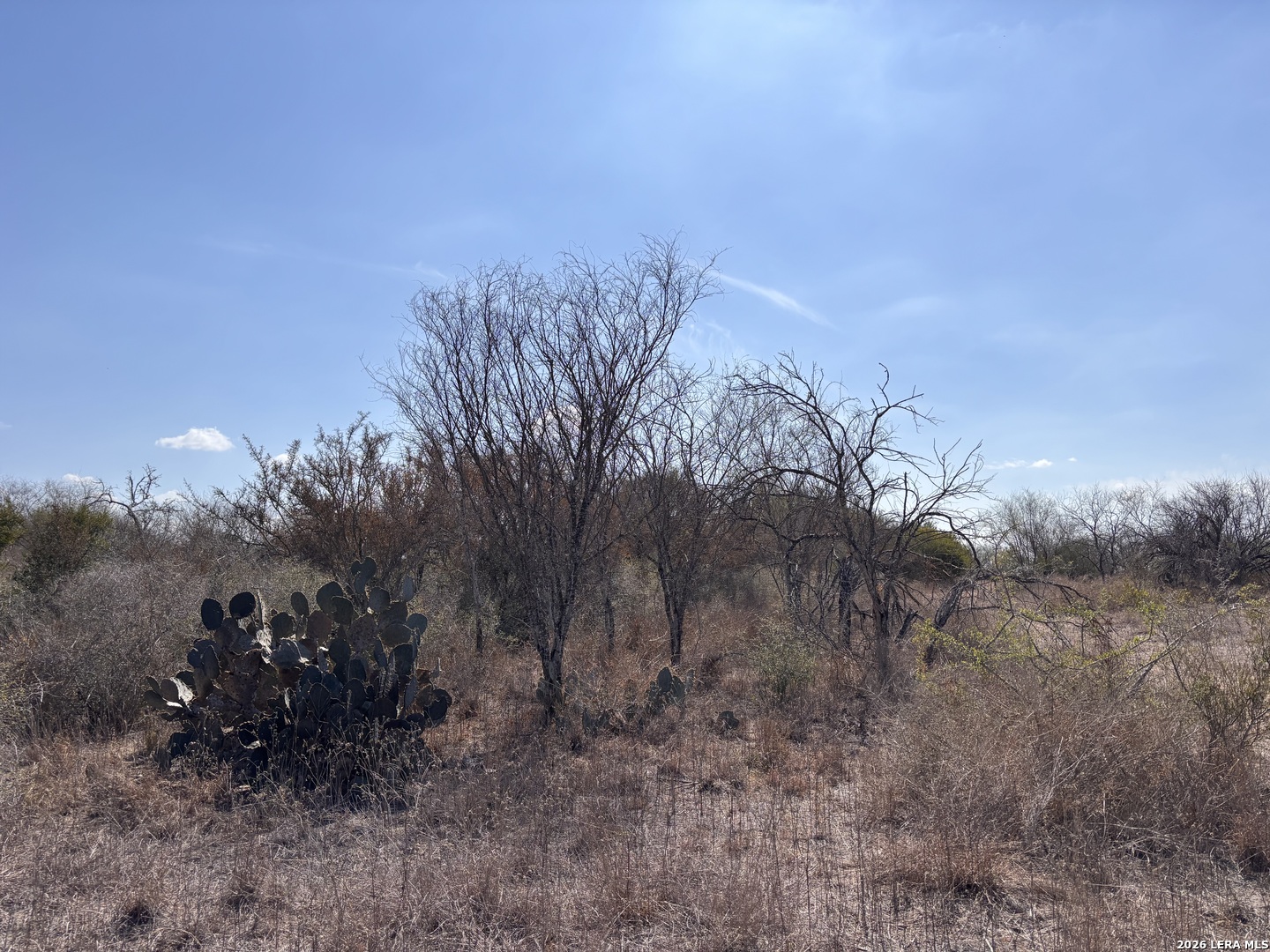 0 County Road 119 Alice TX 78332