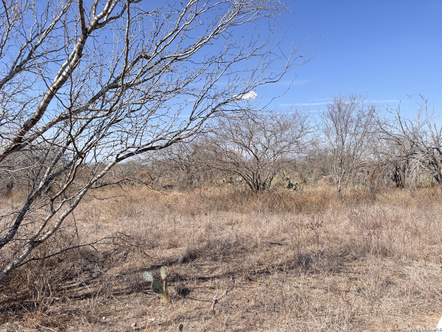 0 County Road 119 Alice TX 78332