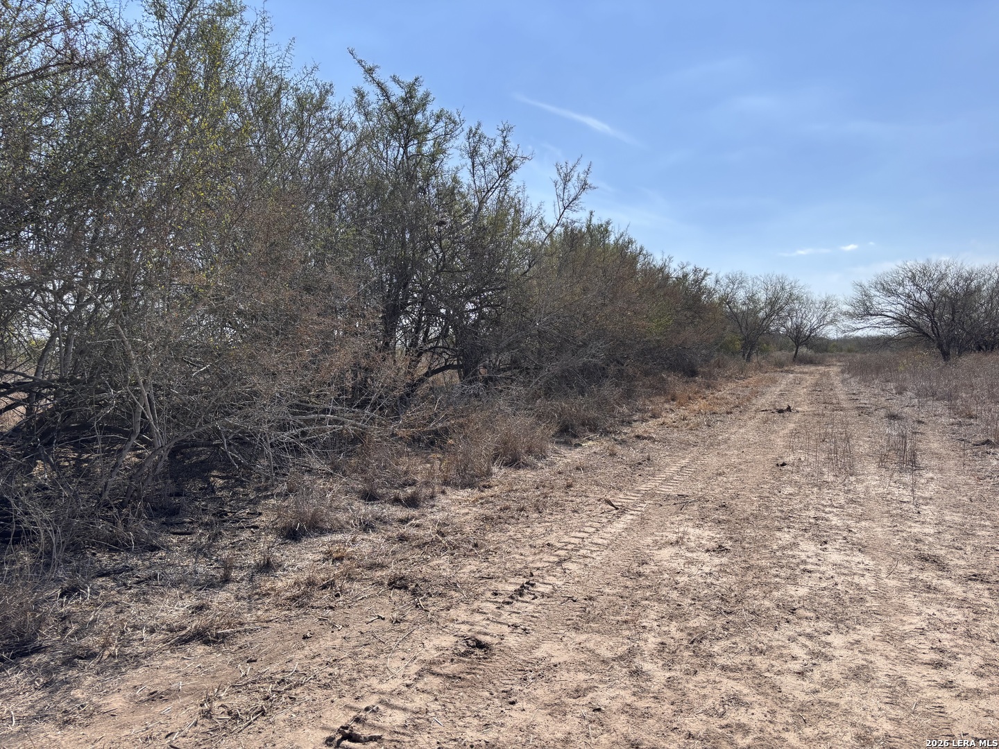 0 County Road 119 Alice TX 78332