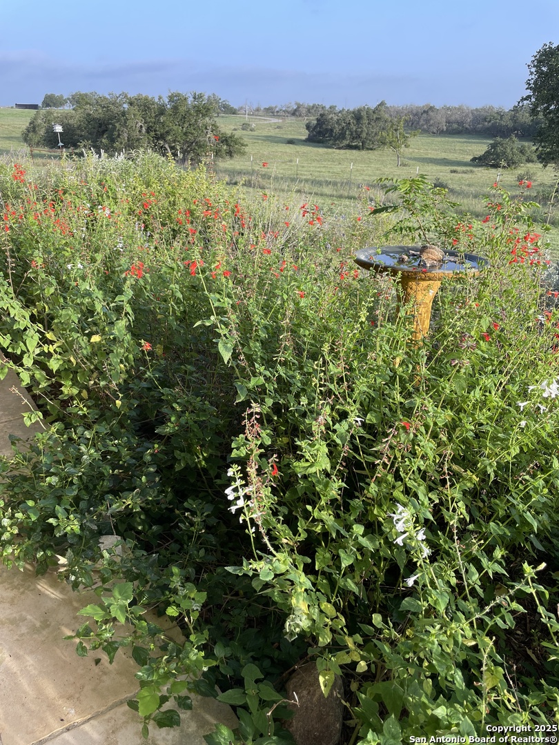 2154 Aviation Loop Fredericksburg TX 78624