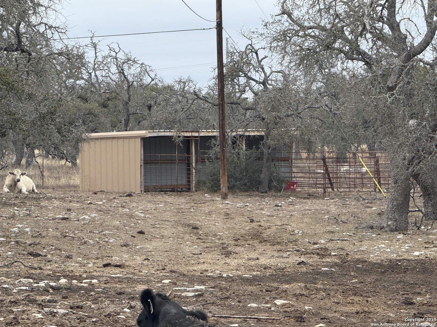 2154 Aviation Loop Fredericksburg TX 78624