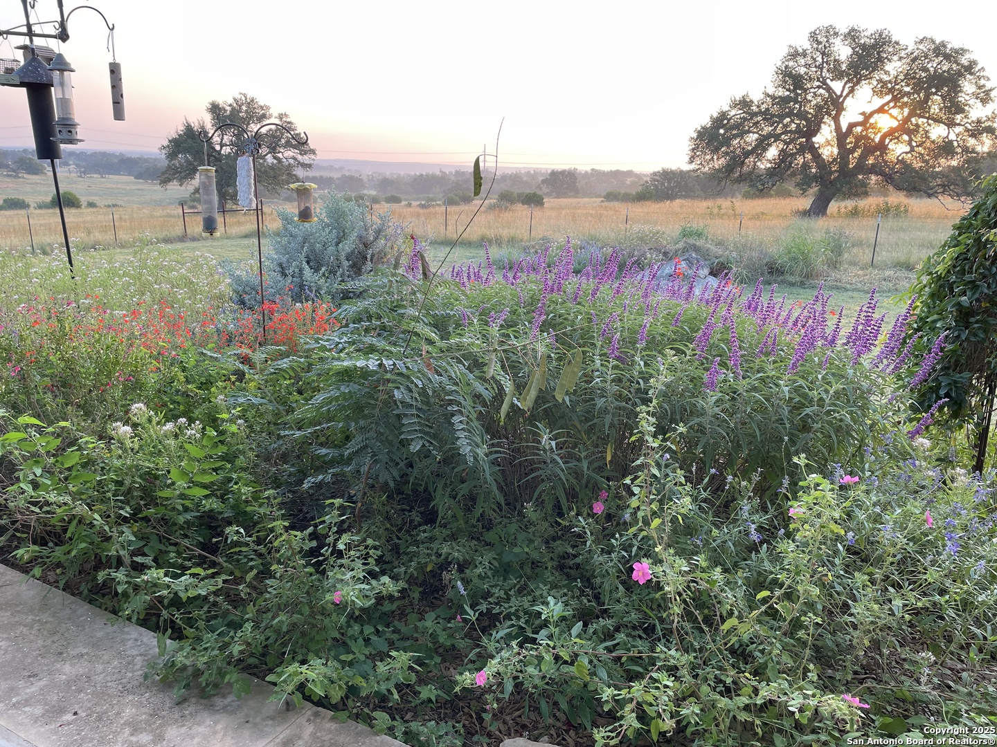 2154 Aviation Loop Fredericksburg TX 78624