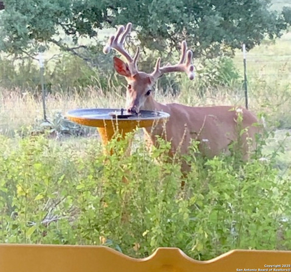 2154 Aviation Loop Fredericksburg TX 78624