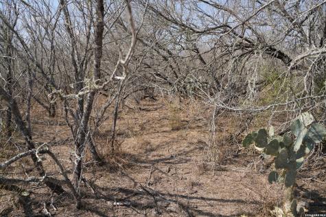 0 County Road 406 Falfurrias TX 78355