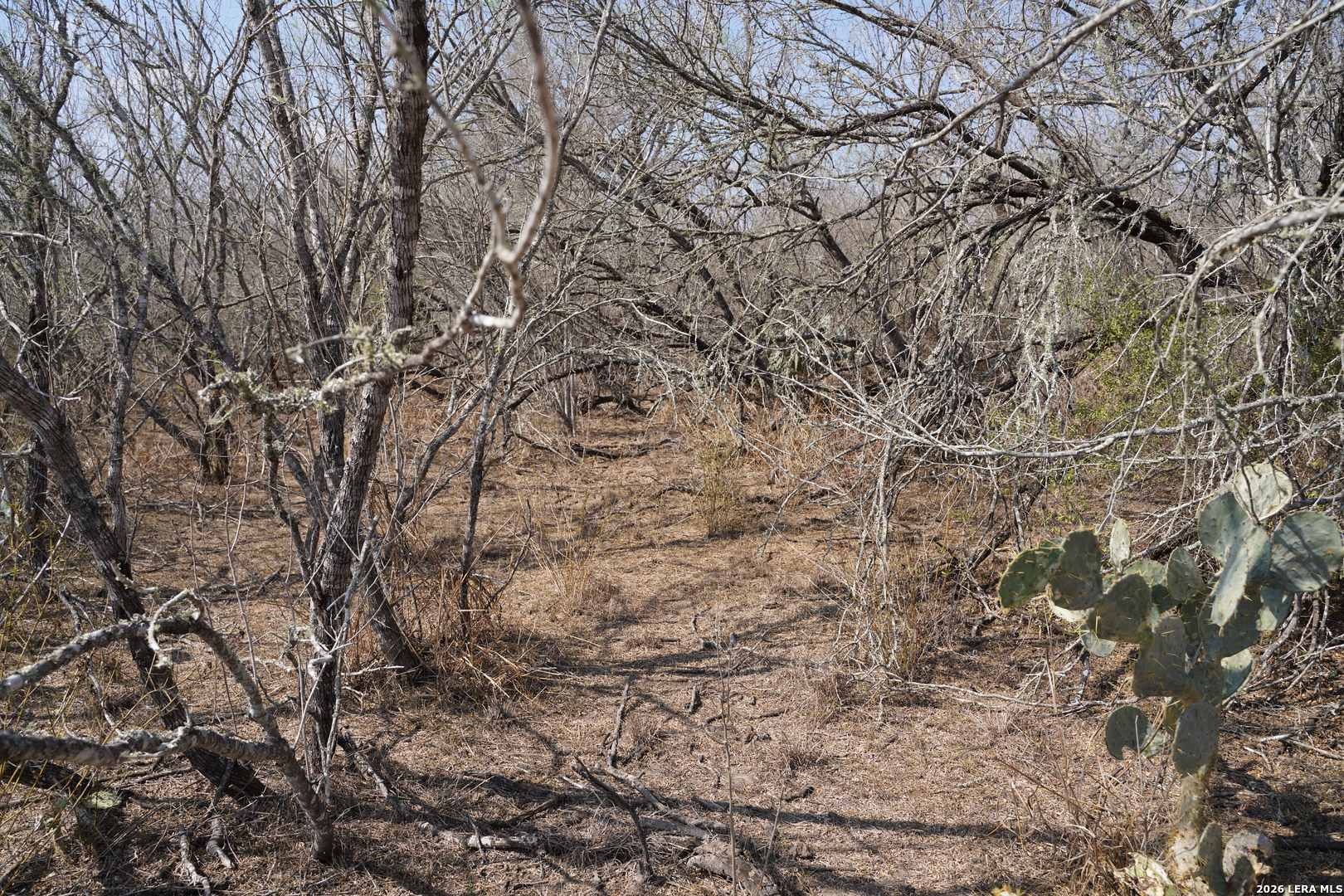 0 County Road 406 Falfurrias TX 78355