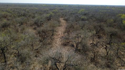 0 County Road 406 Falfurrias TX 78355