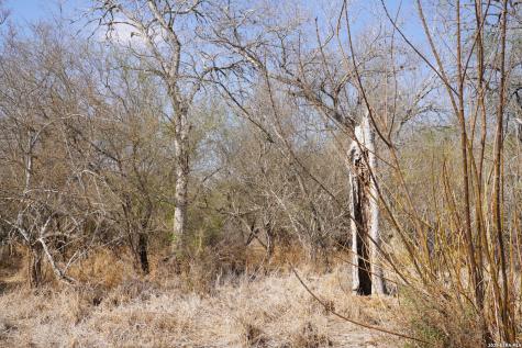 0 County Road 406 Falfurrias TX 78355