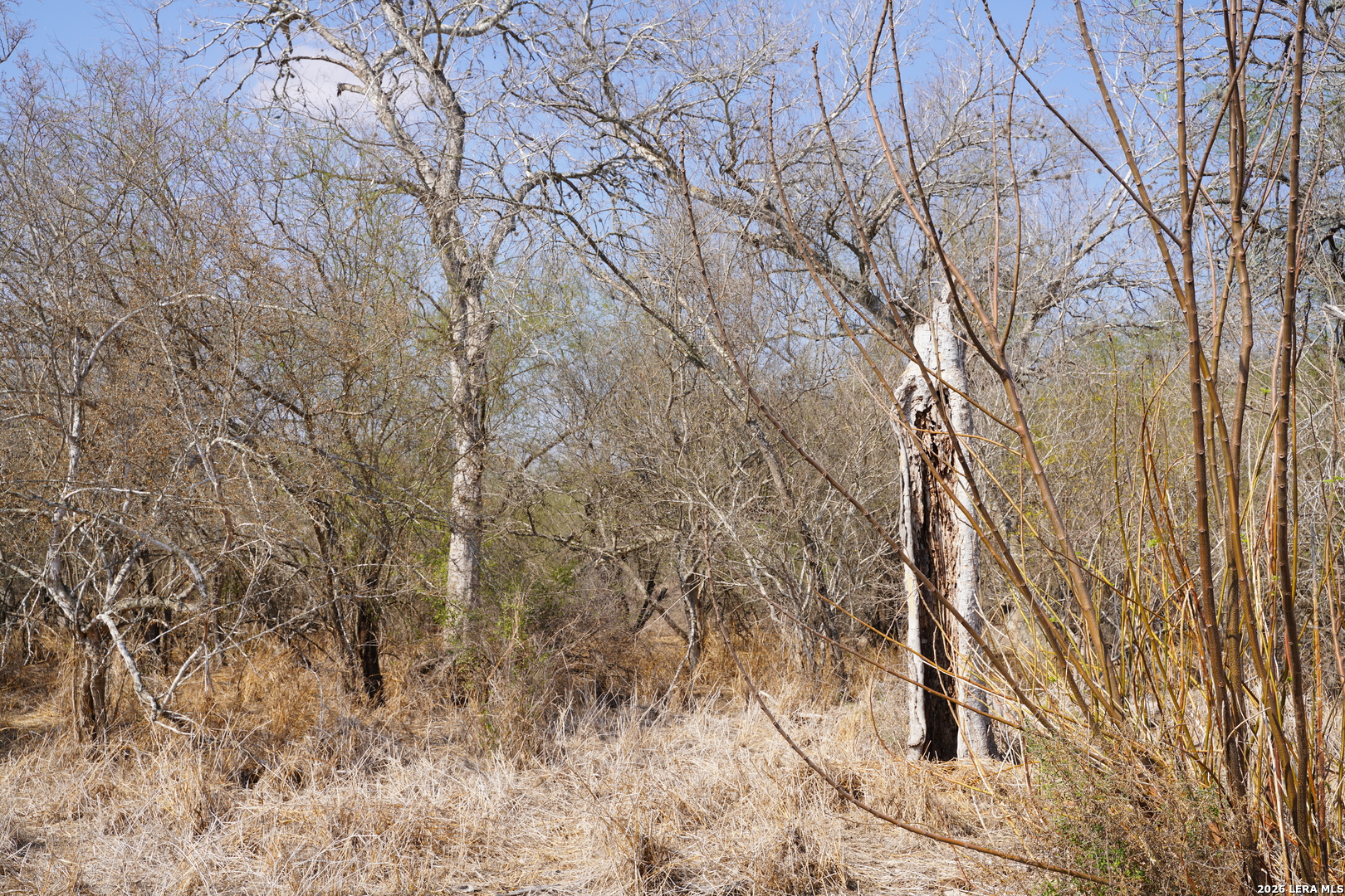 0 County Road 406 Falfurrias TX 78355