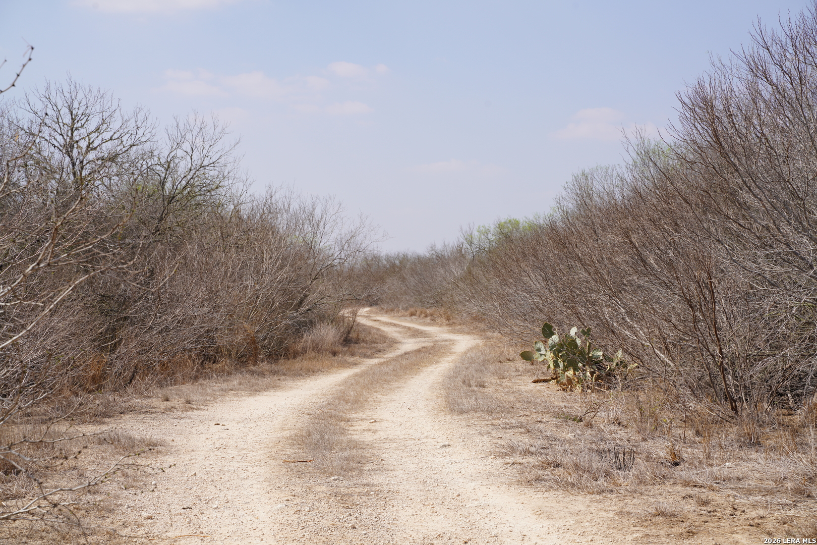 0 County Road 406 Falfurrias TX 78355