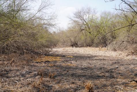 0 County Road 406 Falfurrias TX 78355