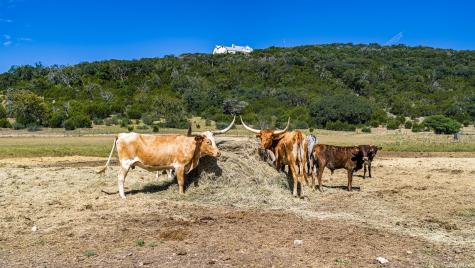 11482 Fm 337 Medina TX 78055