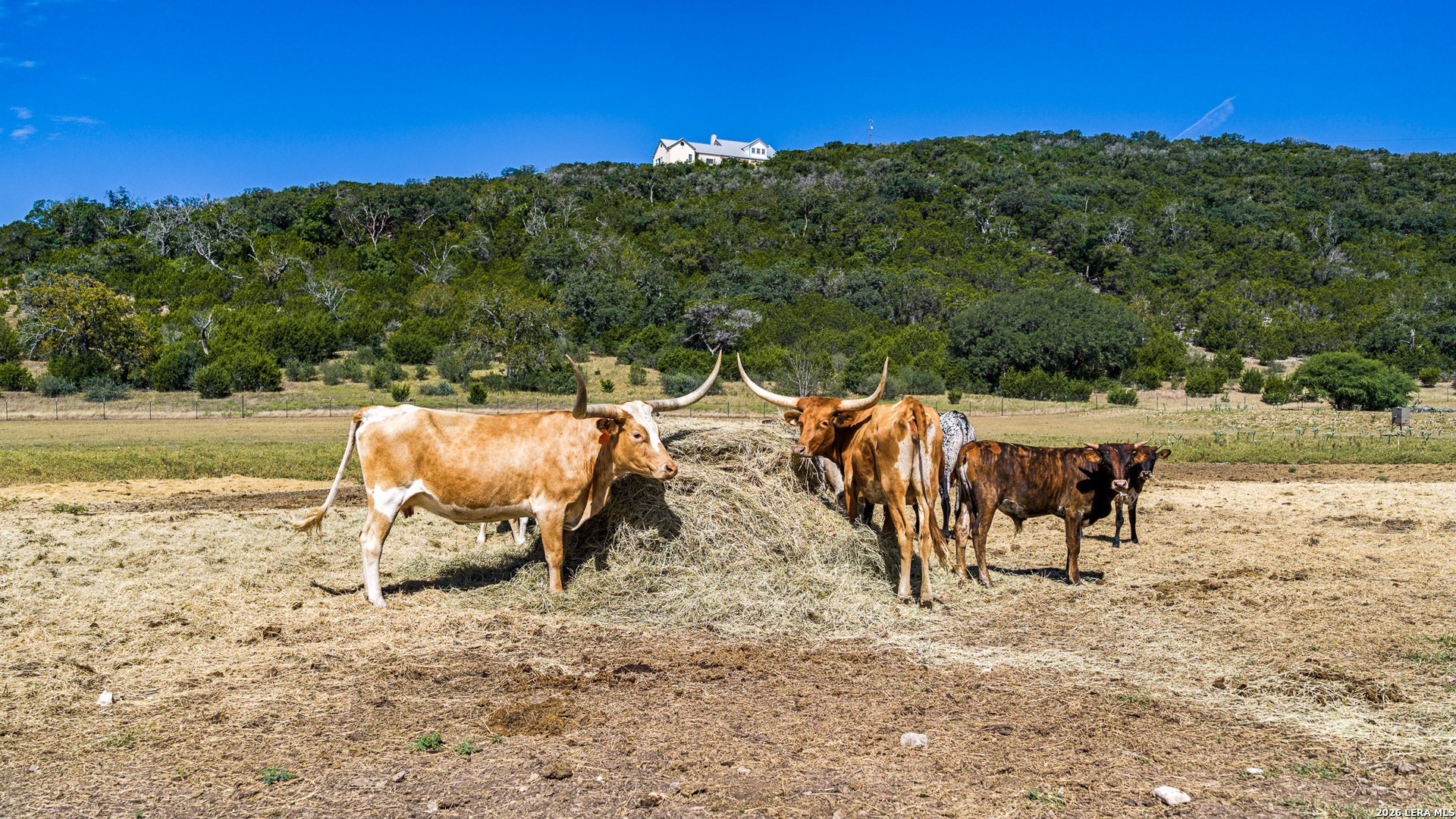 11482 Fm 337 Medina TX 78055