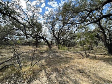 1384 County Road 326 Adkins TX 78101