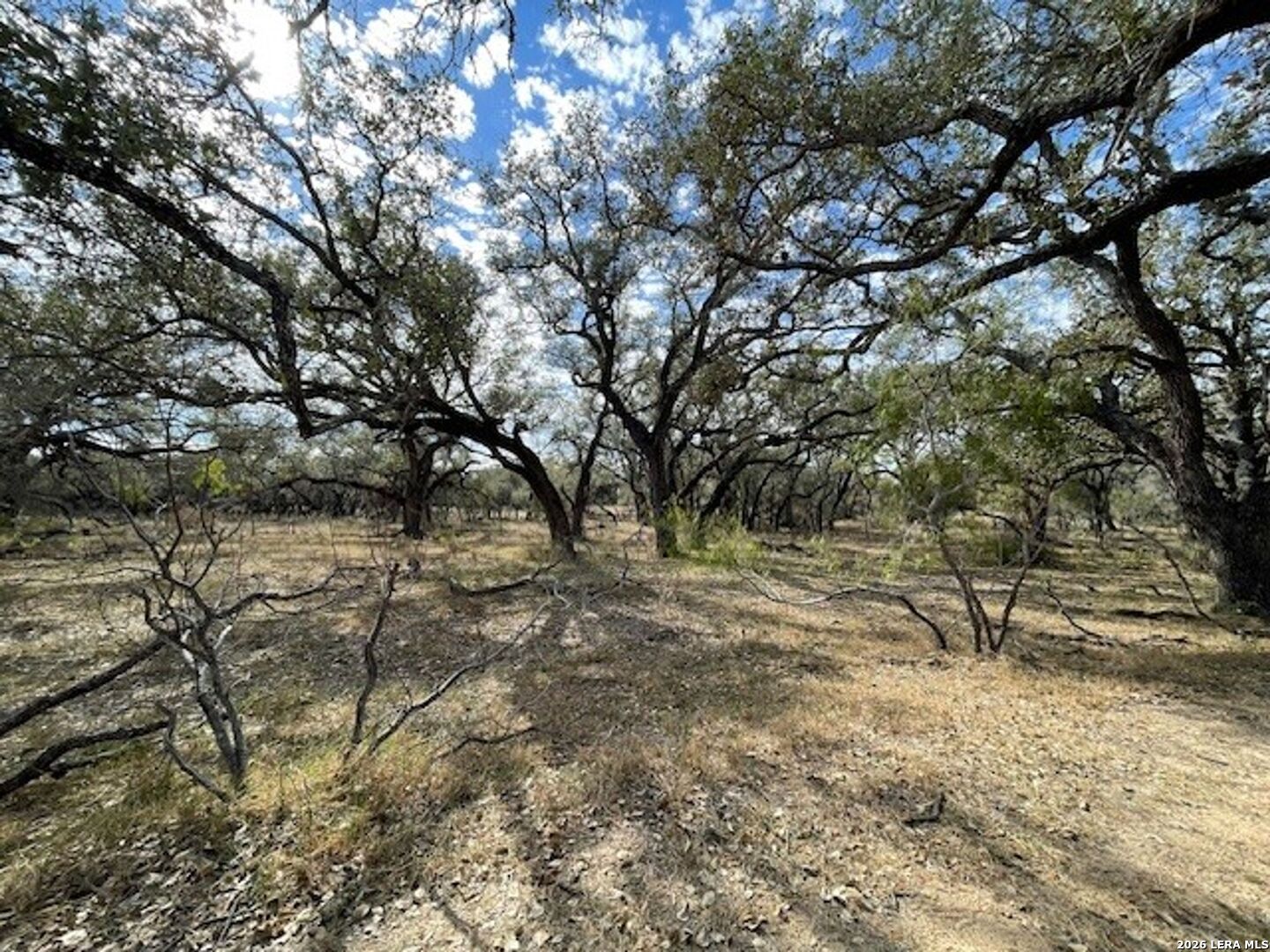 1384 County Road 326 Adkins TX 78101