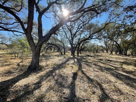 1384 County Road 326 Adkins TX 78101