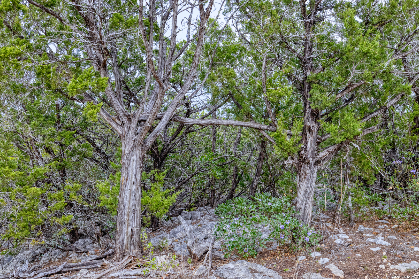 9600 Ranch Road 336 Leakey TX 78873
