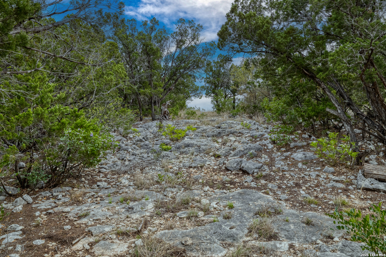 9600 Ranch Road 336 Leakey TX 78873