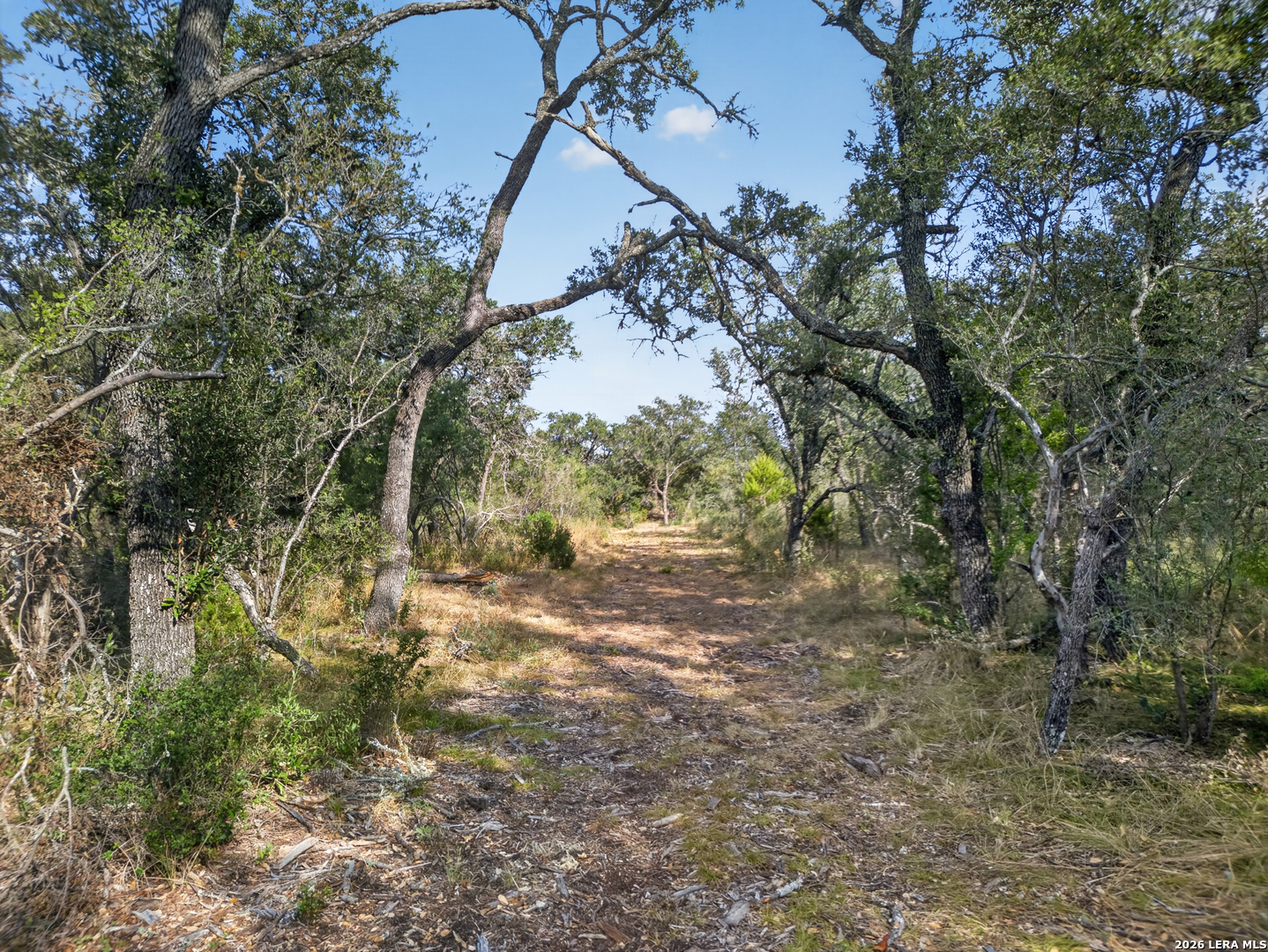Lots 19 & 20 1796 Ranch Dhanis TX 78850