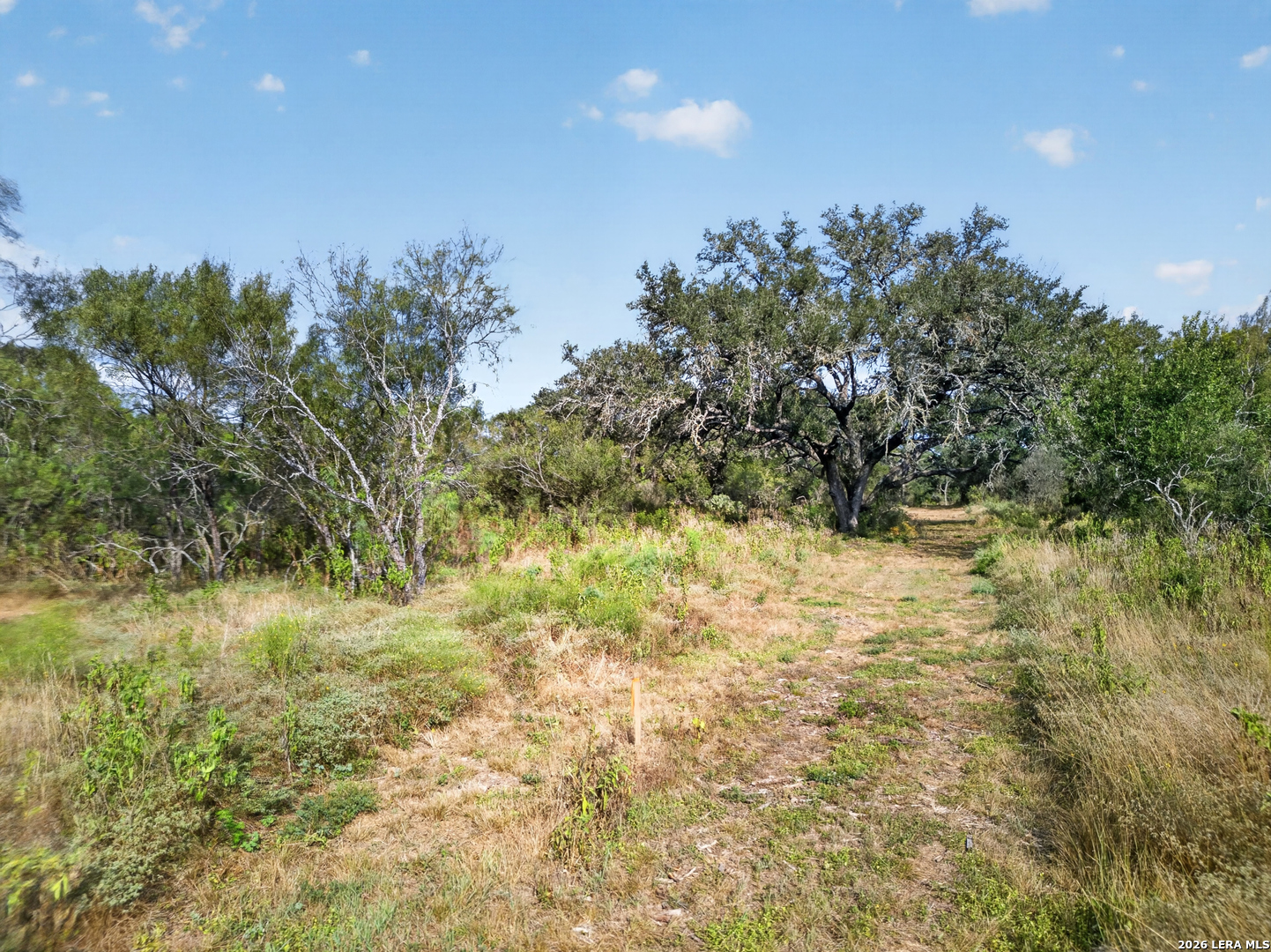 Lots 19 & 20 1796 Ranch Dhanis TX 78850