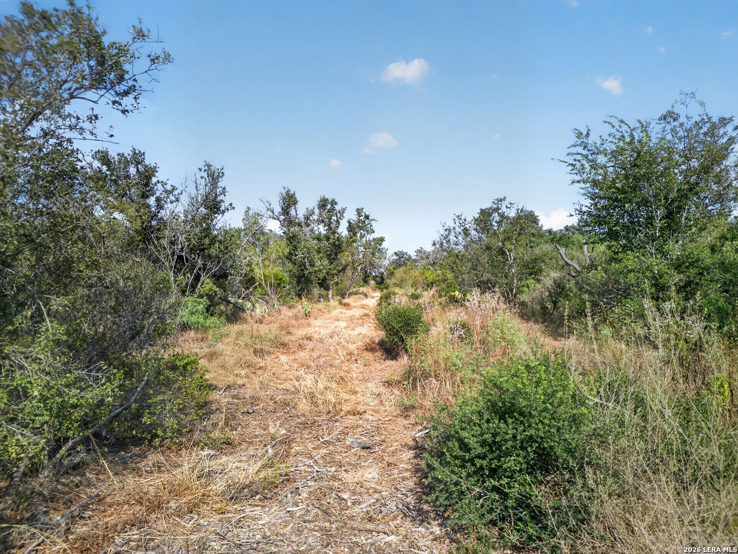 Lots 19 & 20 1796 Ranch Dhanis TX 78850