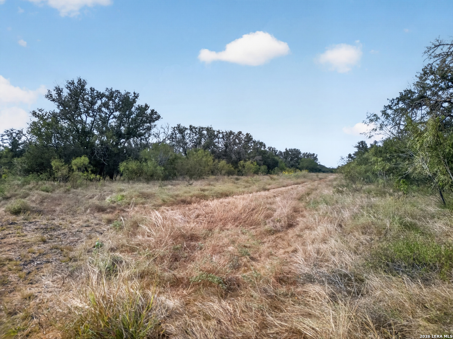 Lots 19 & 20 1796 Ranch Dhanis TX 78850