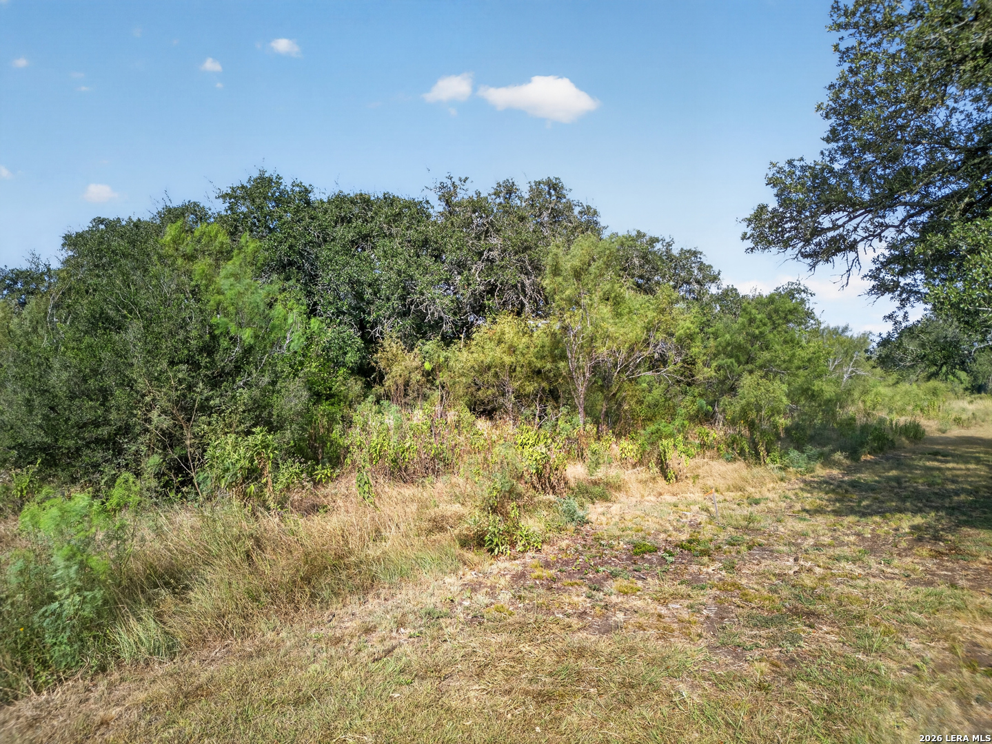 Lots 19 & 20 1796 Ranch Dhanis TX 78850