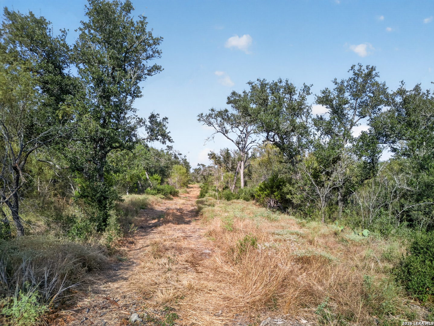 Lots 19 & 20 1796 Ranch Dhanis TX 78850