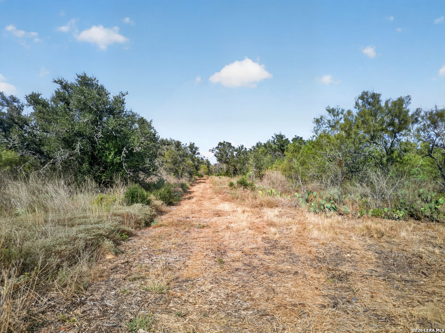 Lots 19 & 20 1796 Ranch Dhanis TX 78850