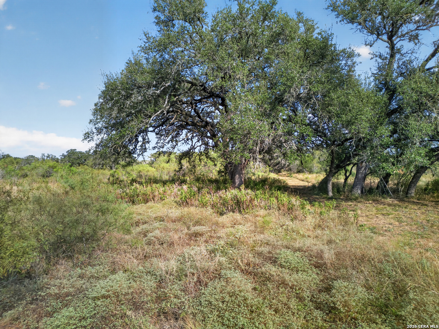 Lots 19 & 20 1796 Ranch Dhanis TX 78850
