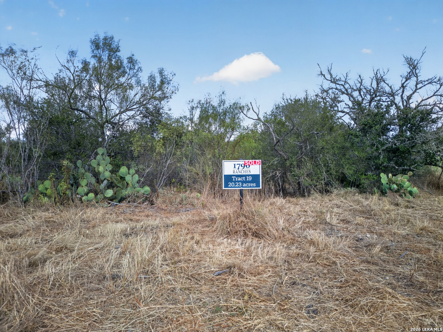 Lots 19 & 20 1796 Ranch Dhanis TX 78850