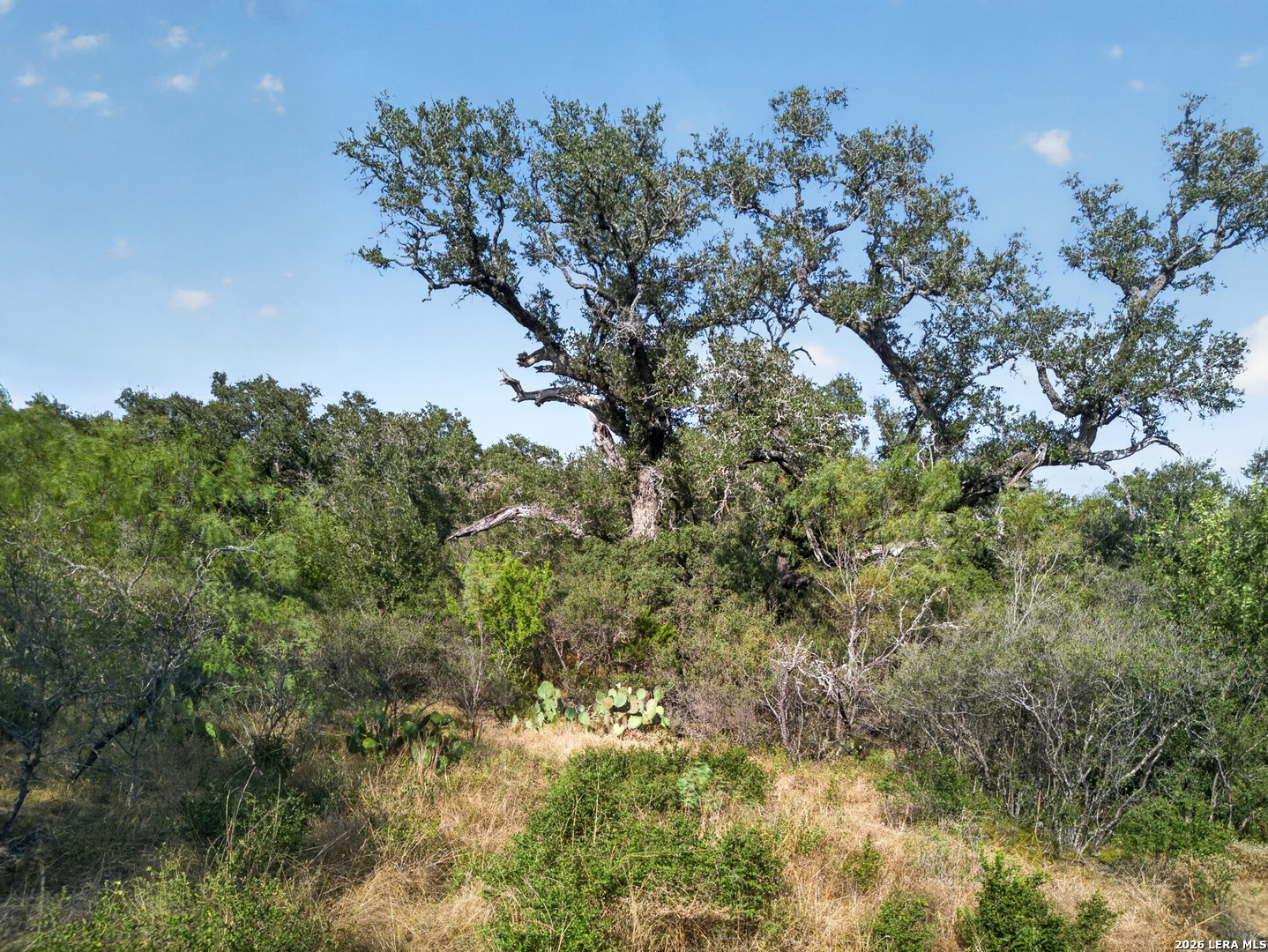 Lots 19 & 20 1796 Ranch Dhanis TX 78850