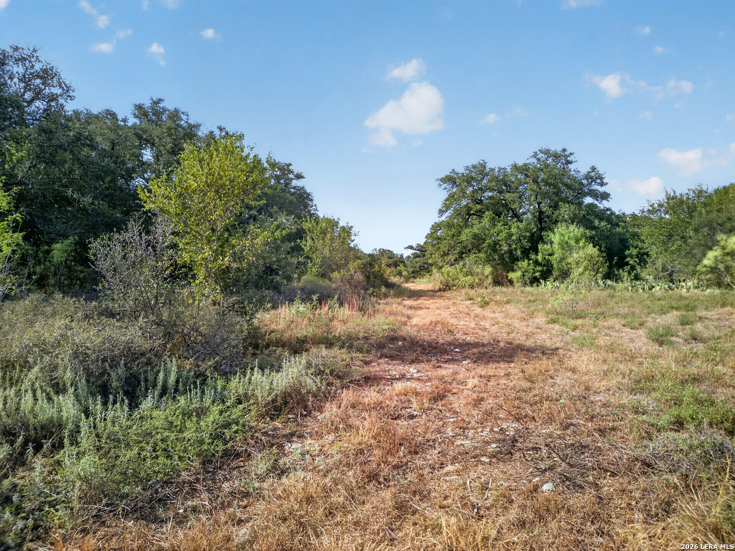 Lots 19 & 20 1796 Ranch Dhanis TX 78850