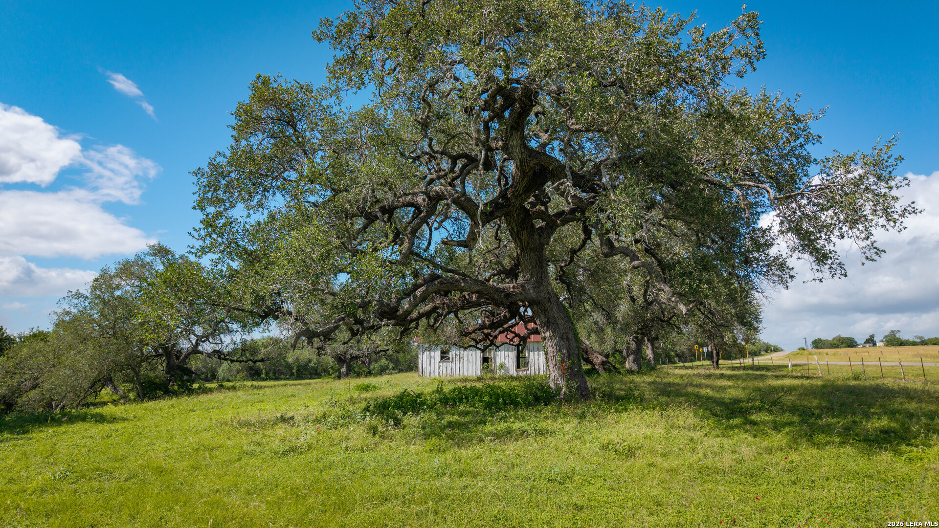 43 Acres Fm 885 Runge TX 78151