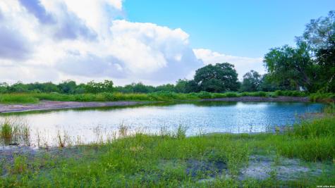 43 Acres Fm 885 Runge TX 78151